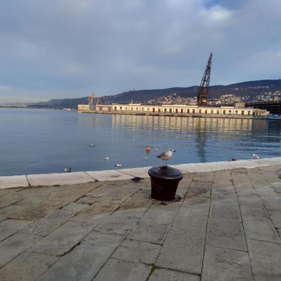 Casa Antica - Historical Apartment In Old City Center Trieste Exteriör bild